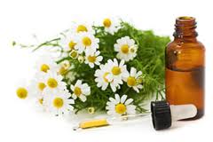 German Chamomile essential oil